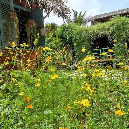 Bach Cuc Homestay Long Hai Buitenkant foto