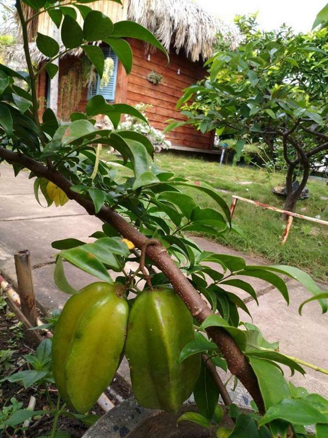 Bach Cuc Homestay Long Hai Buitenkant foto