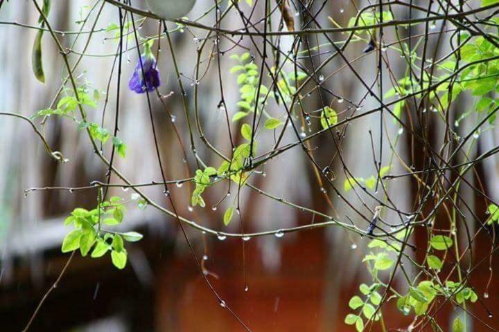 Bach Cuc Homestay Long Hai Buitenkant foto