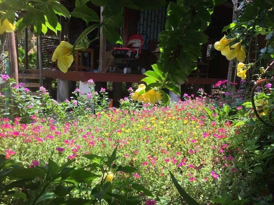 Bach Cuc Homestay Long Hai Buitenkant foto